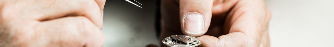 riparazione e revisione rolex